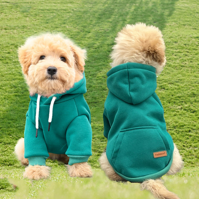 The Ultimate Cozy Couture for Your Pooch!